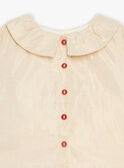 Conjunto blusa e calções em veludo dourado e vermelho GATABITA / 23H1BFN1ENS954